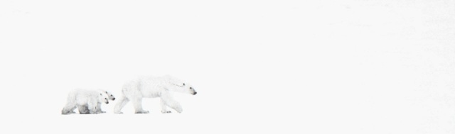 David Yarrow, ‘Whiteout’, 2015, Photography, Archival Pigment Print, Maddox Gallery