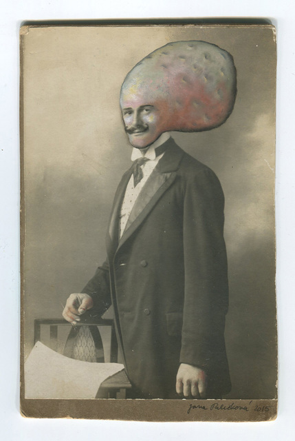 Jana Paleckova, ‘Untitled’, 2015, Drawing, Collage or other Work on Paper, Photograph with Oil Paint, FRED.GIAMPIETRO Gallery