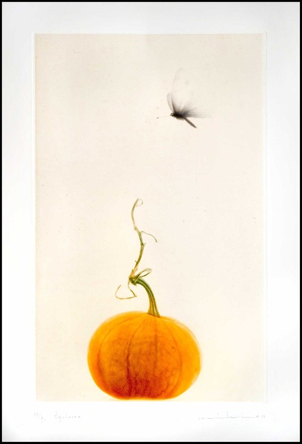 Mikio Watanabe, ‘Equinoxe’, 2012, Verne Collection, Inc.