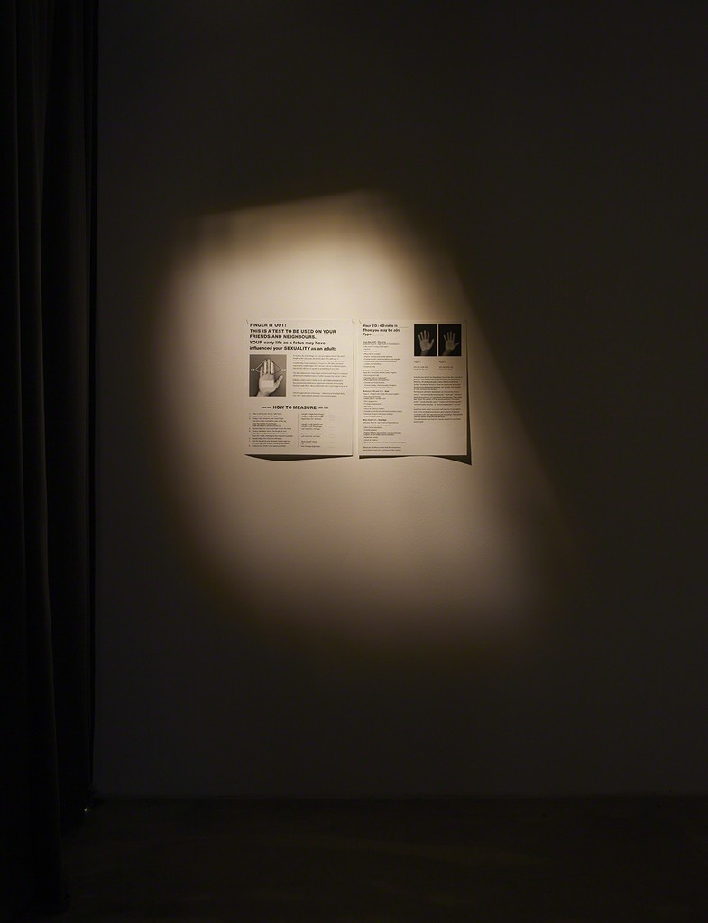 Peggy Buth, Finger it Out!, 2008, offset prints, each 50 x 40 cm, exhibition view at Klemm's, Berlin 2015 Peggy Buth, Finger it Out!, 2008, offset prints, each 50 x 40 cm, exhibition view at Klemm's, Berlin 2015