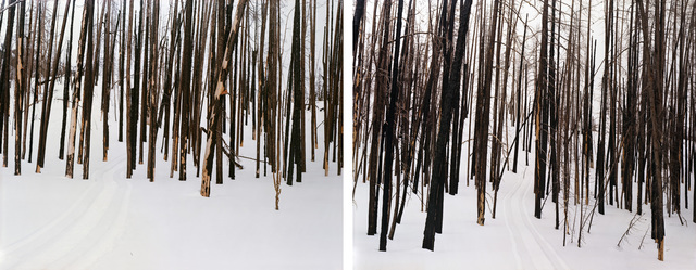 Laura McPhee, ‘Untitled (Sawtooth Valley, Idaho) (#94104-94089)’, 2008, Benrubi Gallery
