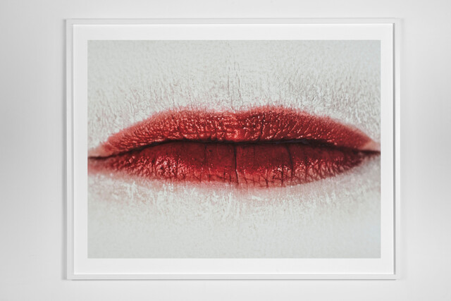 MOUTHless — Agnès Guillaume (2016)