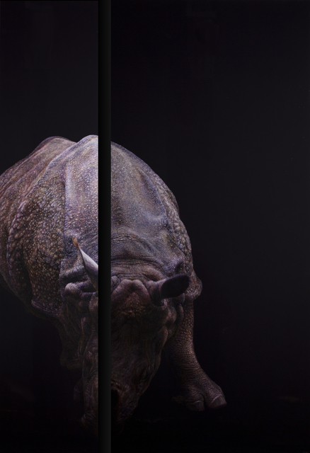 Amber Sena, ‘Nightingale’, 2015, Accesso Galleria