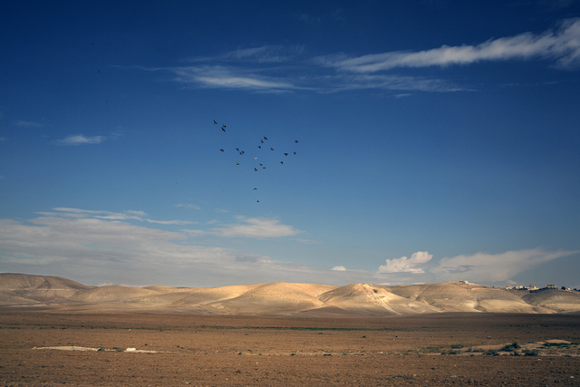 Tanya Habjouqa, ‘Untitled ’, 2015, Photography, Archival Digital Print, East Wing
