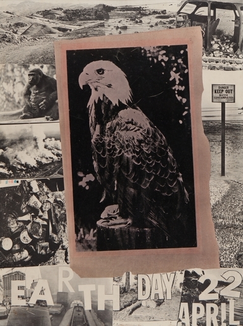 Robert Rauschenberg, ‘Poster for the Earth Day for the benefit of the American Environment Foundation in Washington’, printed in 1970, Aste Boetto