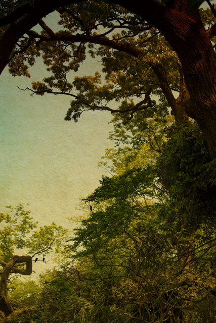 Albarrán Cabrera, ‘The Mouth of Krishna, #236’, 2014, Photography, Pigment print on gampi paper and gold leaf, Ira Stehmann Fine Art Photography