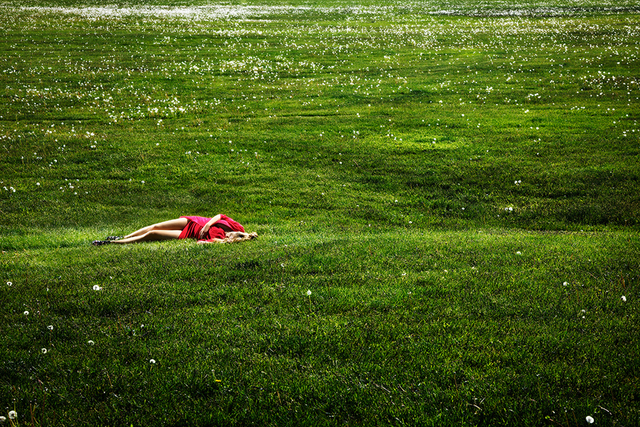 David Drebin, ‘Field of Dreams’, 2012, Photography, Chromogenic Print, CHROMA GALLERY