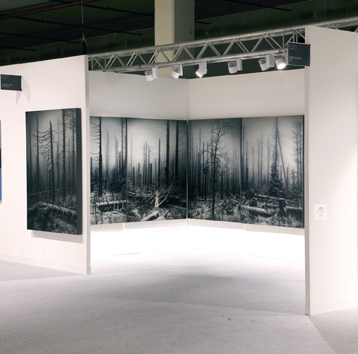 Nemora installation Nemora installation