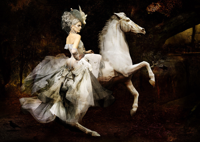 Simon Procter, ‘Dior, The Rider’, 2007, Photography, C-print, Rosenbaum Contemporary