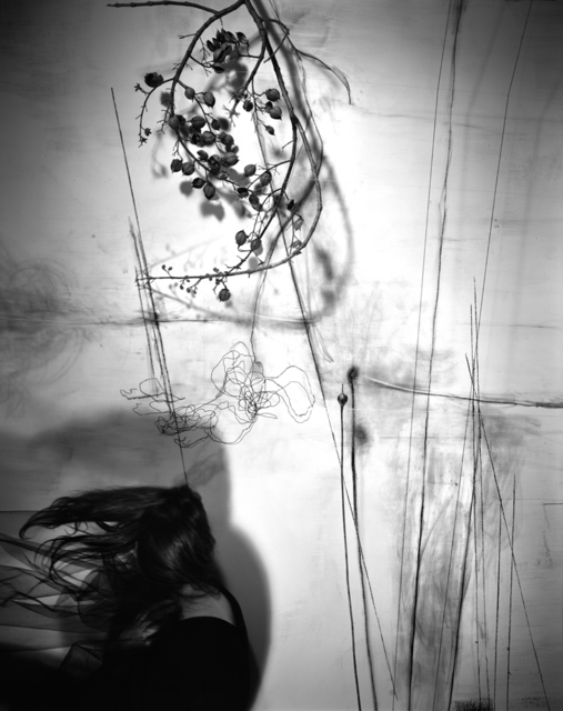 Lauren Semivan, ‘Branches’, 2011, Benrubi Gallery