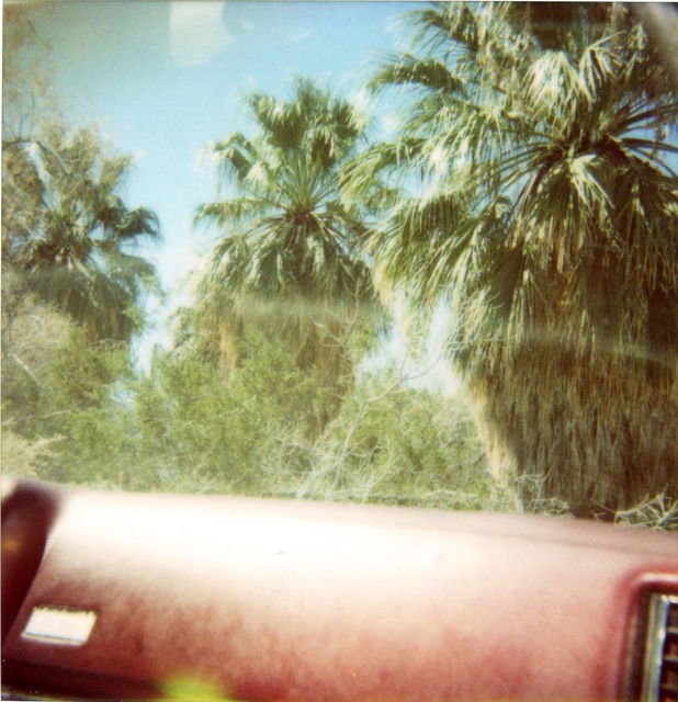 Stefanie Schneider, ‘Dashboard Palm Trees’, 2005, Photography, Digital C-Print, based on an expired Polaroid, not mounted, Instantdreams