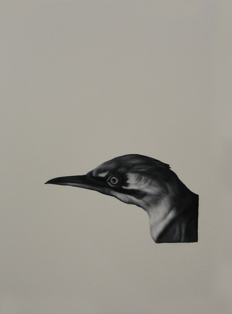 Shelley Reed, ‘Bird (after Duranti)’, Painting, Visions West Contemporary