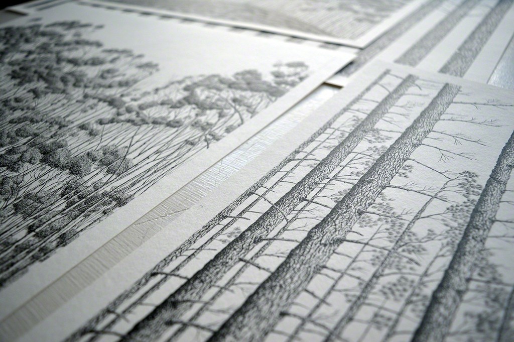 Detail on Michael Amery's use of India Ink on paper. Detail on Michael Amery's use of India Ink on paper.