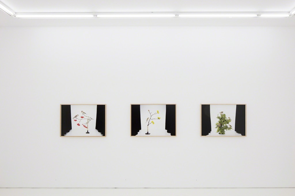 Photo credit: Jussi Tiainen / Courtesy of Helsinki Contemporary. Photo credit: Jussi Tiainen / Courtesy of Helsinki Contemporary.