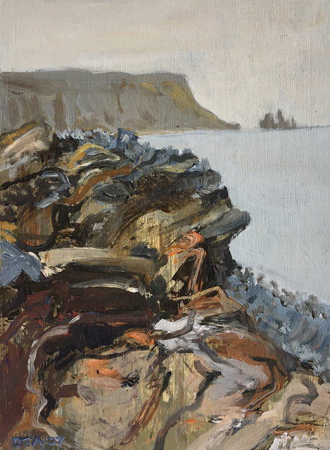 David Alexander, ‘SW, Shore, Iceland’, 2017, Foster/White Gallery