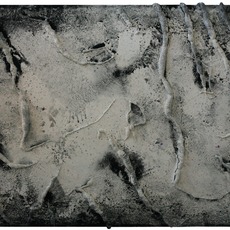 Guillem Nadal