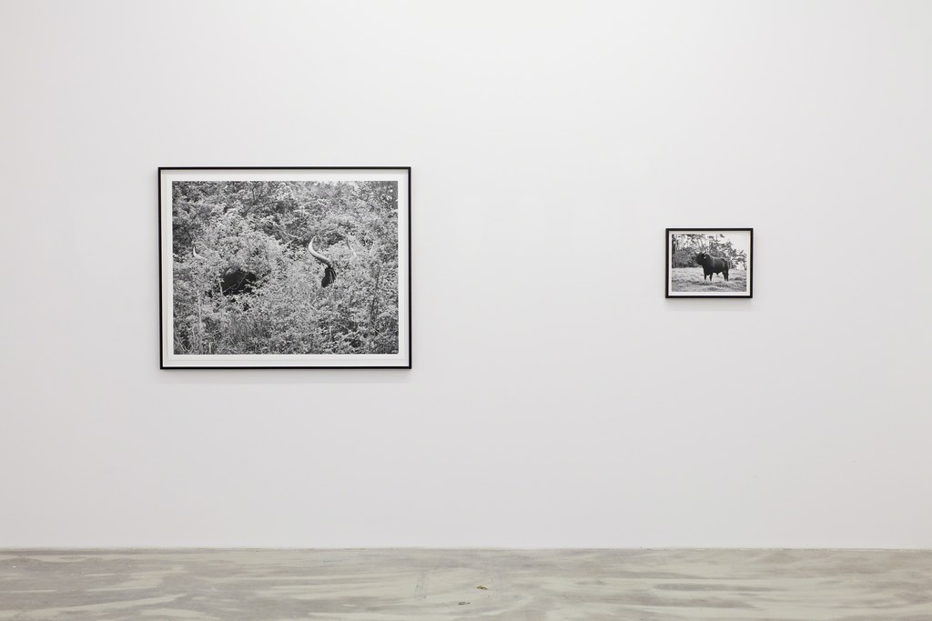 UR, 2015, exhibition view at KLEMM'S Berlin UR, 2015, exhibition view at KLEMM'S Berlin