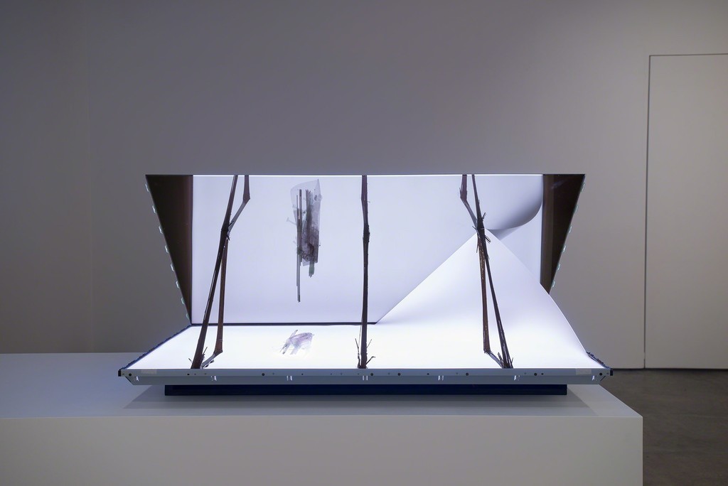 Josh Tonsfeldt, Untitled, 2015, LCD television, digital video, carbon fiber, fiberglass, CFL tubes, dust mask, pigment print on hydrographic film, pigment sink, resin, 30 x 55 x 60 in. / 76.2 x 139.7 x 152.4 cm., exhibition view, Simon Preston Gallery, New York Josh Tonsfeldt, Untitled, 2015, LCD television, digital video, carbon fiber, fiberglass, CFL tubes, dust mask, pigment print on hydrographic film, pigment sink, resin, 30 x 55 x 60 in. / 76.2 x 139.7 x 152.4 cm., exhibition view, Simon Preston Gallery, New York