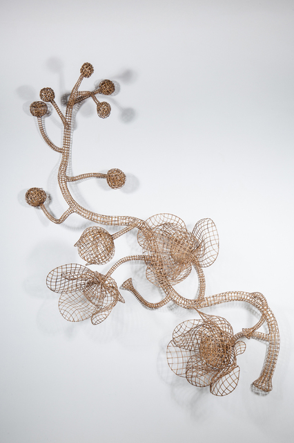 Sopheap Pich: Rang Phnom Flower 