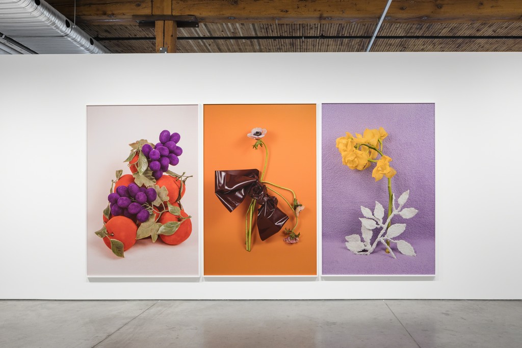 Michelle Bui, Centerfold, 2019, installation view. Michelle Bui, Centerfold, 2019, installation view.
