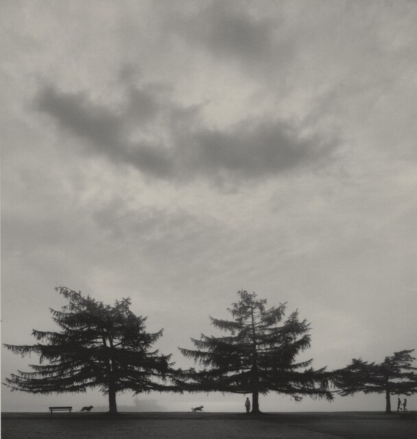 Pentti Sammallahti - Artworks for Sale & More | Artsy