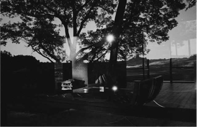 Mauro Restiffe, ‘Glass House #8 and Glass House #9 Diptych’, 2013, The Glass House