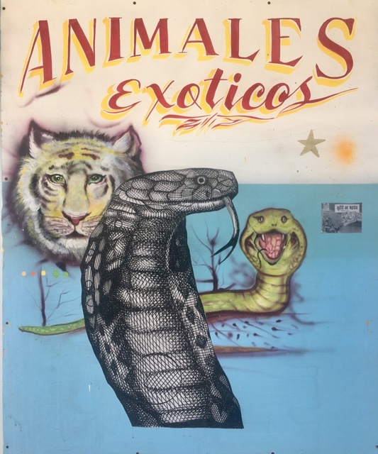 Armando Lerma, ‘Animales Exitcos ’, 2018, Painting, Mixed media, Melissa Morgan Fine Art
