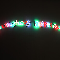 Eli Sudbrack (Assume Vivid Astro Focus)