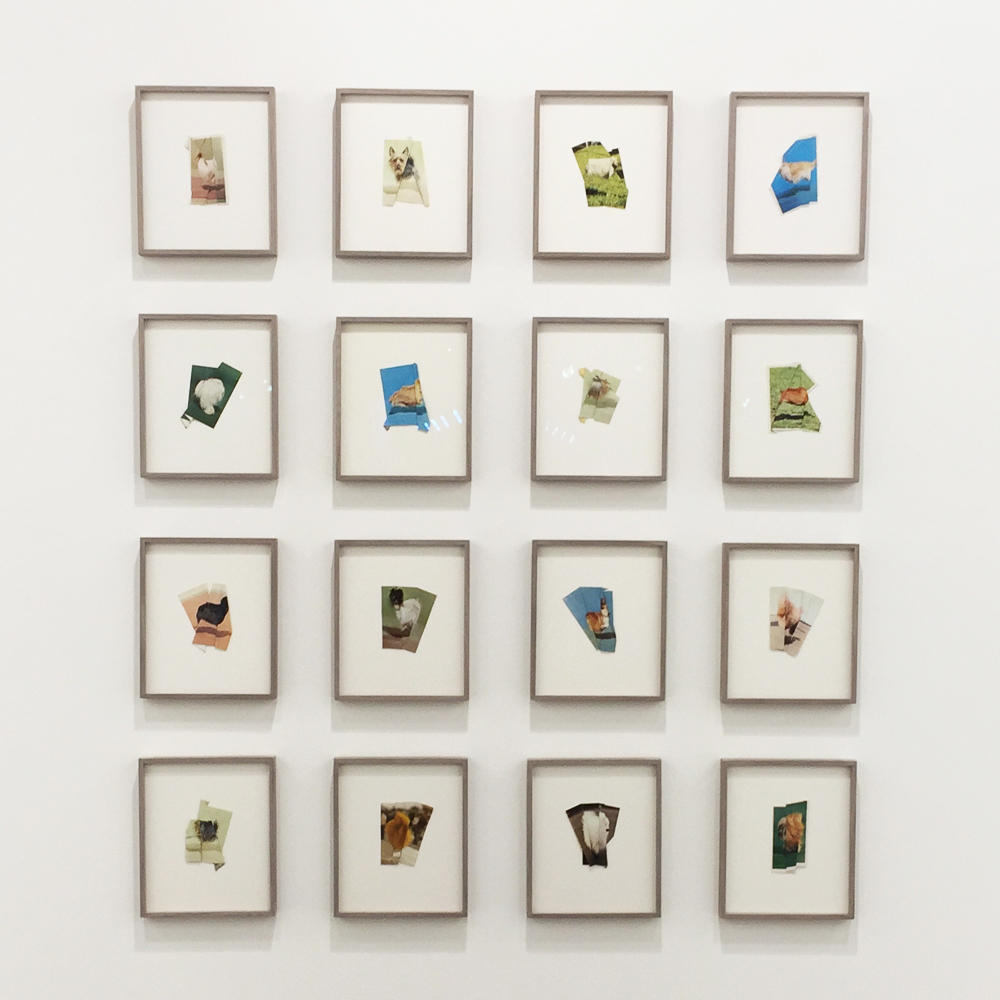 Ruth van Beek Ruth van Beek