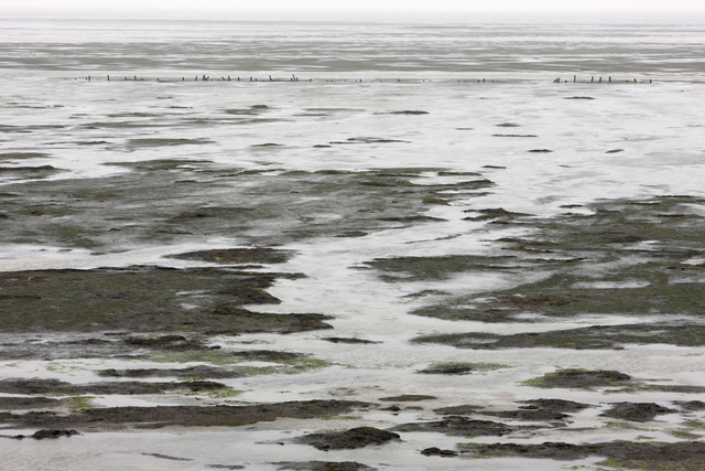 Per Bak Jensen, ‘Vinterlandskab/Winterlandscape ’, 2015, Photography, C-Print / Mat Diasec, Galleri Bo Bjerggaard