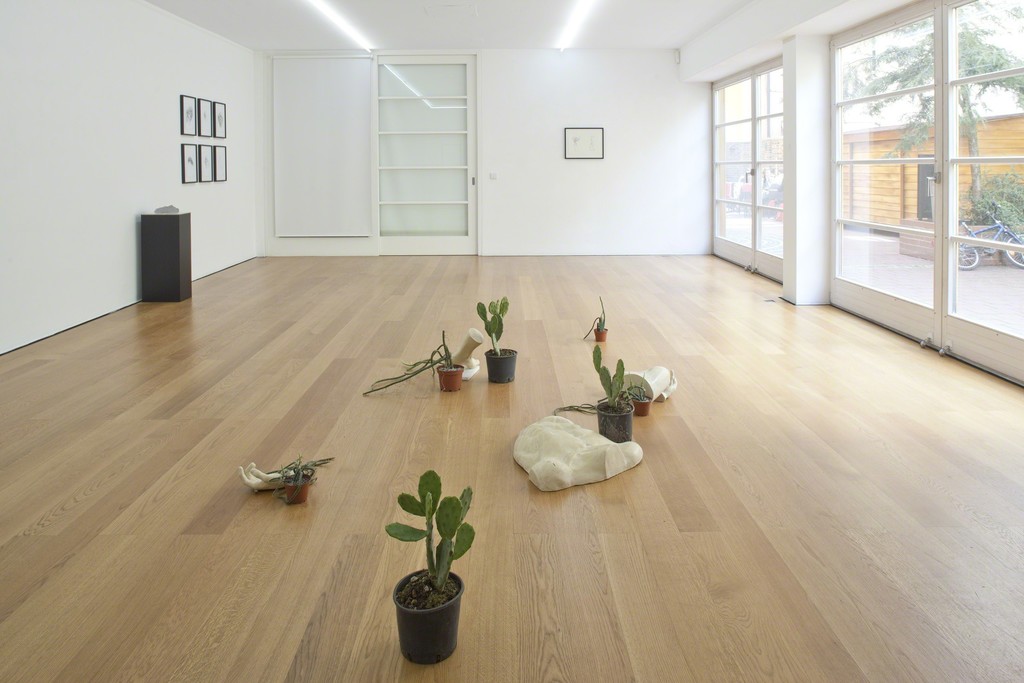 Installation view Alex Mirutziu at Galerie Rüdiger Schöttle, 2016.
Photo: Wilfried Petzi. Installation view Alex Mirutziu at Galerie Rüdiger Schöttle, 2016.
Photo: Wilfried Petzi.