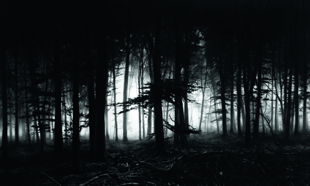 Robert Longo, ‘Untitled (Forest of Doxa)’, 2014, Galerie Raphael
