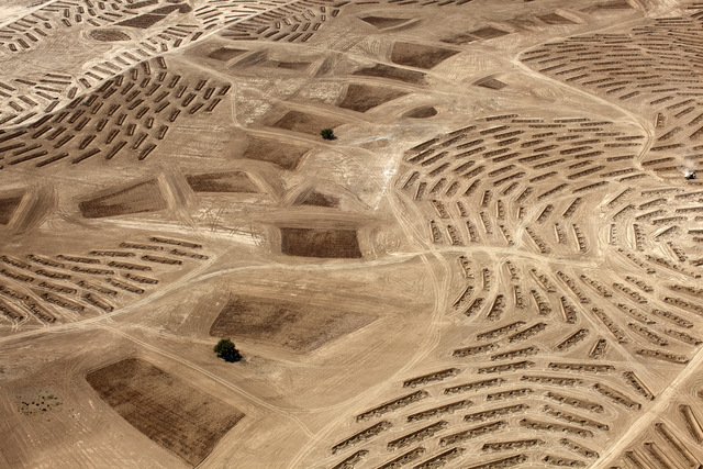 Fazal Sheikh, ‘10/9/2011’, Photography, Norton Museum of Art