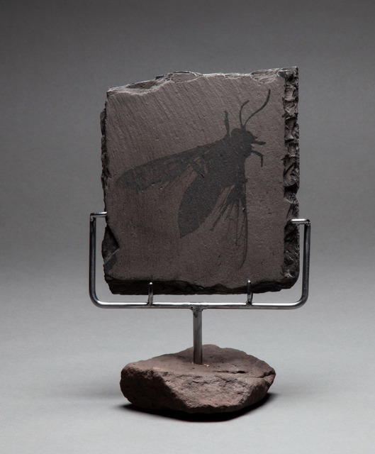 Bill Westheimer, ‘Anthropocene 4 - Bee’, 2019, Sculpture, Collodion wet-plate on slate, Imlay Gallery