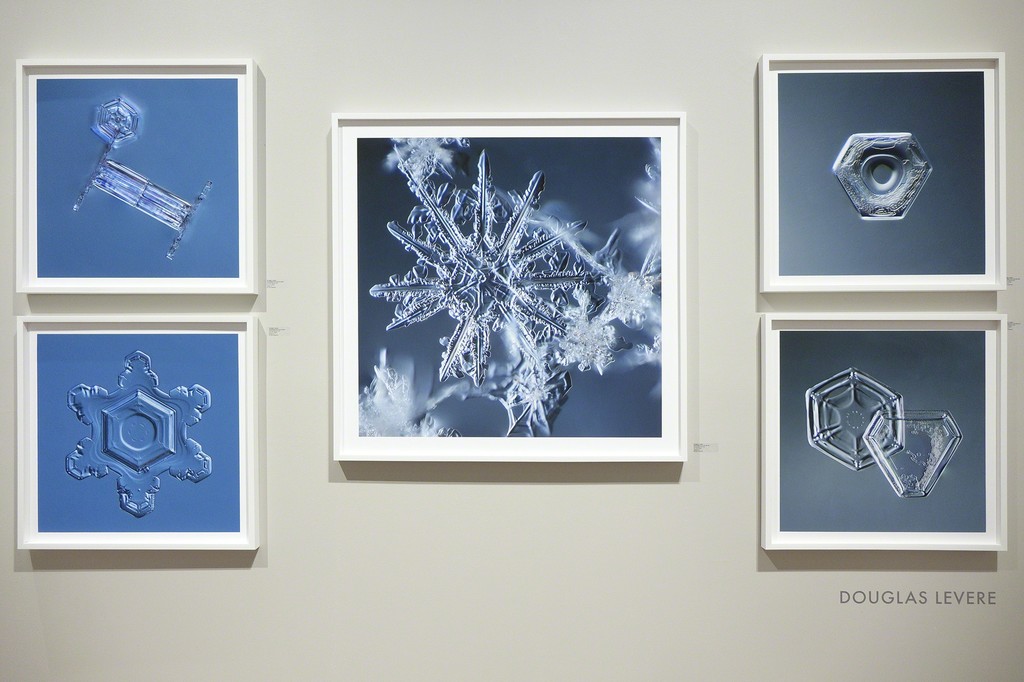 Douglas Levere's Snowflake images; installed at photo-eye Gallery as a part of FIRE AND ICE. Douglas Levere's Snowflake images; installed at photo-eye Gallery as a part of FIRE AND ICE.