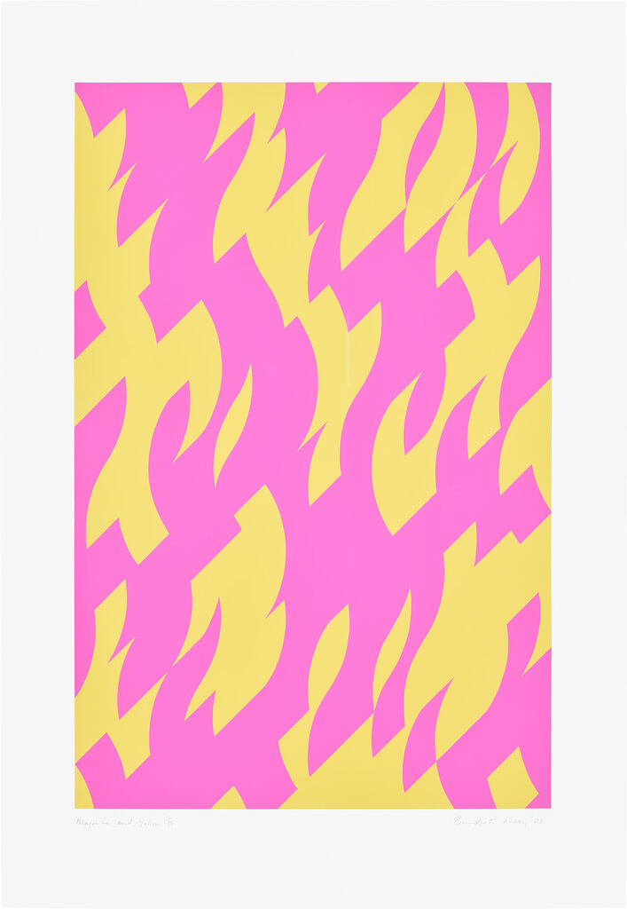 Bridget Riley - Magenta and Yellow (S. 50, T & G. 50)