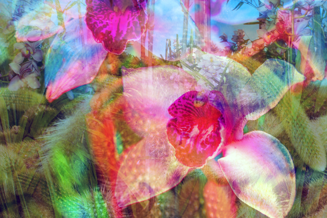 Dolly Faibyshev, ‘I Dream of Gardens in the Desert Sand’, 2018, Photography, Digital c-print, Uprise Art