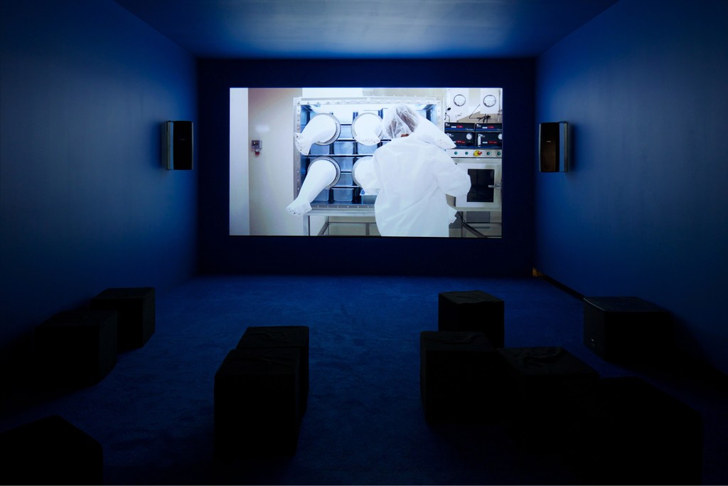 Installation view of Camille Henrot's Gross Fatigue, 2013, in Affinity Atlas, Tang Teaching Museum, 2015 Installation view of Camille Henrot's Gross Fatigue, 2013, in Affinity Atlas, Tang Teaching Museum, 2015