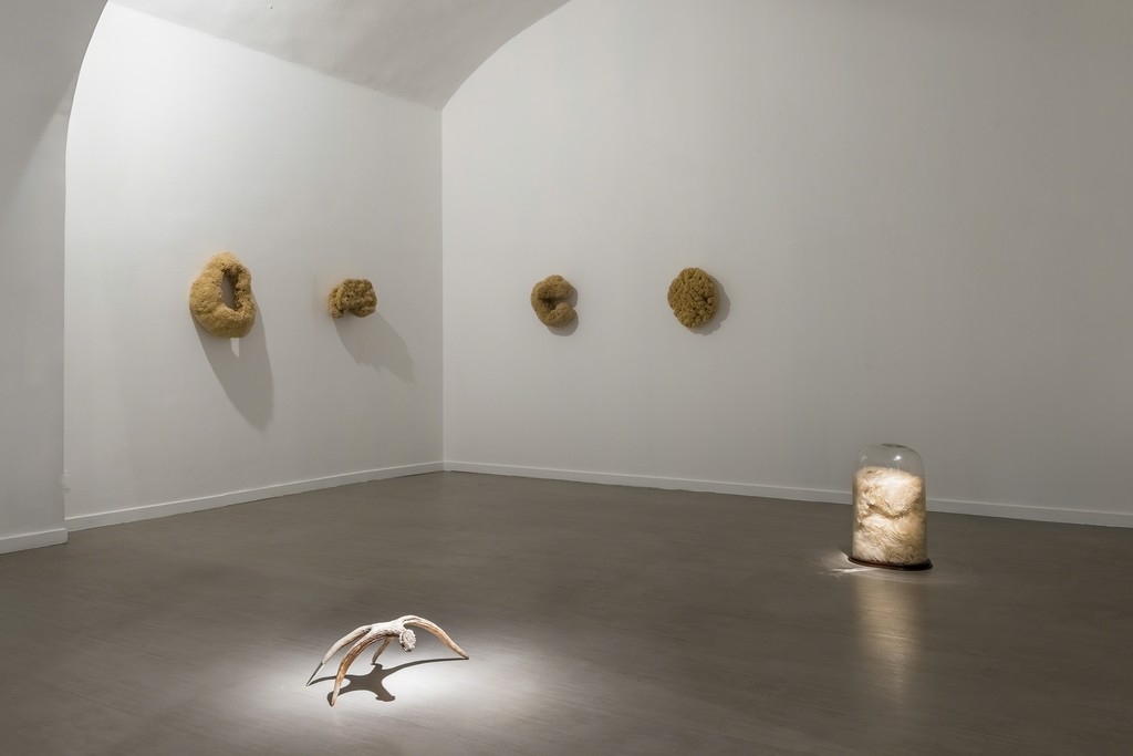 GiovanniKronenberg, 2016, installation view at z2o Sara Zanin Gallery, Rome, room 3 GiovanniKronenberg, 2016, installation view at z2o Sara Zanin Gallery, Rome, room 3