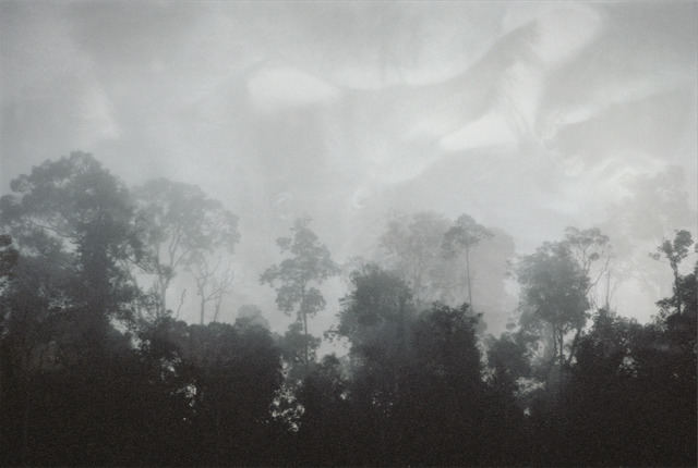 Lisa Roet, ‘The Forest 2’, 2000-2001, MARS