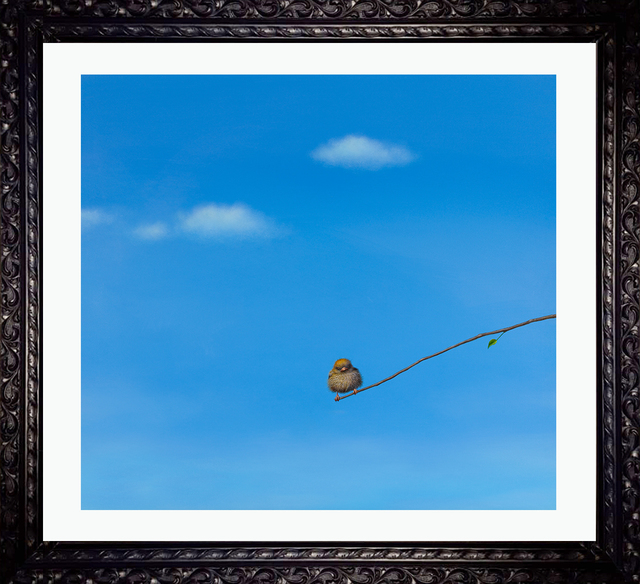 Lilia Mazurkevich Russell 2019 Available For Sale Artsy