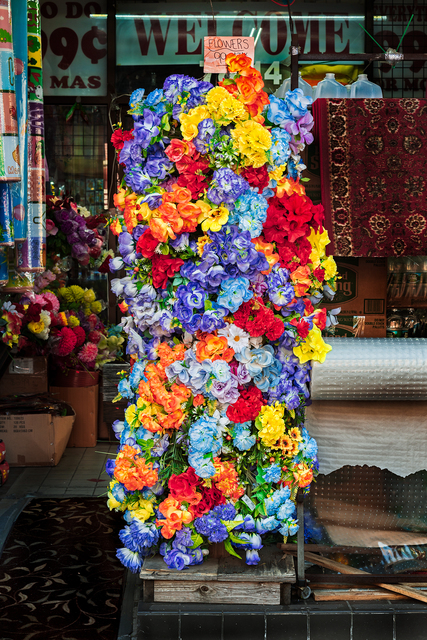 David Stock, ‘Flowers, Jackson Heights’, 2018, 440 Gallery