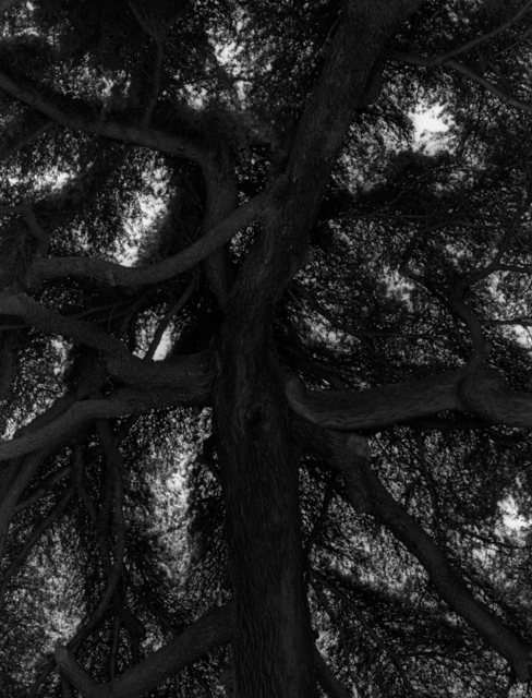 Koo Bohnchang, ‘Breath 12’, 1995, Photography, Three Shadows +3 Gallery