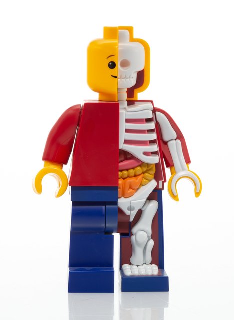 Jason Freeny Micro Zombie Anatomic Dissected Lego Figure Halloween Version 1pc