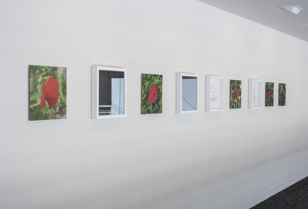 Installation view, Slow Dialogues: Time, Space, and Scale, Yerba Buena Center for the Arts. Photographs: Charlie Villyard. Courtesy Yerba Buena Center for the Arts. Installation view, Slow Dialogues: Time, Space, and Scale, Yerba Buena Center for the Arts. Photographs: Charlie Villyard. Courtesy Yerba Buena Center for the Arts.