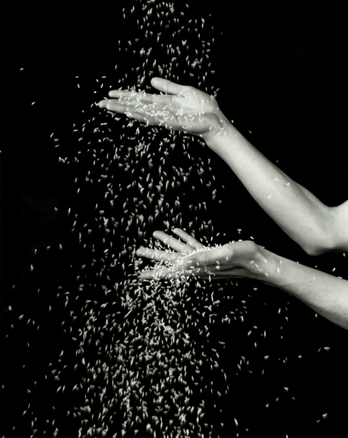 Dale M. Reid, ‘Basmati Long Grain Rice ’, 2019, Photography, Silver Gelatin Print, JL Phillips Gallery