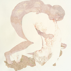 Josephine Taylor