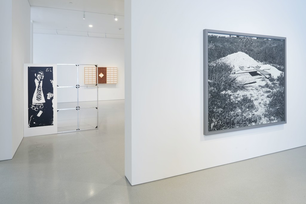 Installation view. Artwork, left to right: © Cady Noland, © Anicka Yi, © Jeff Wall. Photo: Glen Cheriton. Courtesy Gagosian. Installation view. Artwork, left to right: © Cady Noland, © Anicka Yi, © Jeff Wall. Photo: Glen Cheriton. Courtesy Gagosian.