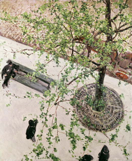Gustave Caillebotte, ‘The boulevard Seen From Above’, 1880, Museo Thyssen-Bornemisza
