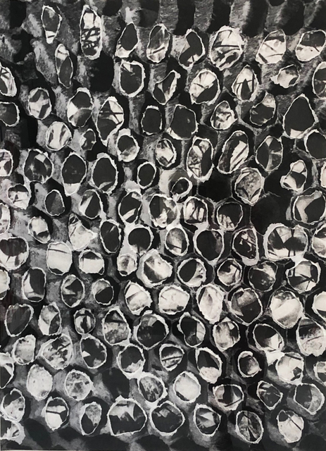 Sondra Meszaros, ‘Camouflage Net #1’, 2019, Corkin Gallery